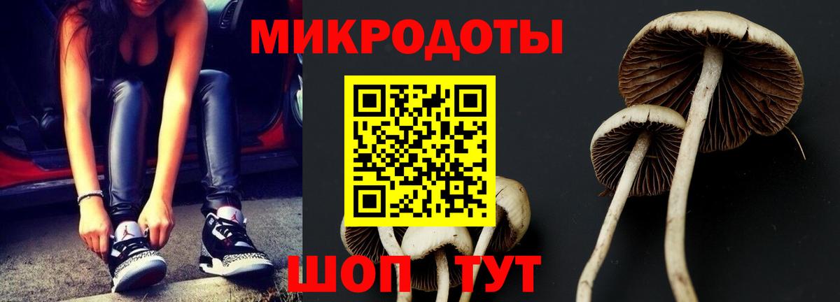 Галлюциногенные грибы Cubensis  Вход с VPN  Аргун 