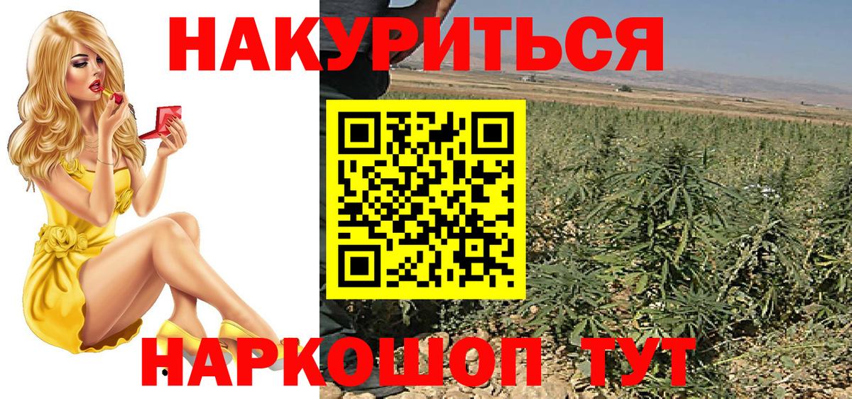 Аргун  Конопля гибрид  Бошки Шишки AK-47  Вход с VPN  МАРИХУАНА THC 21%  Каннабис сатива 