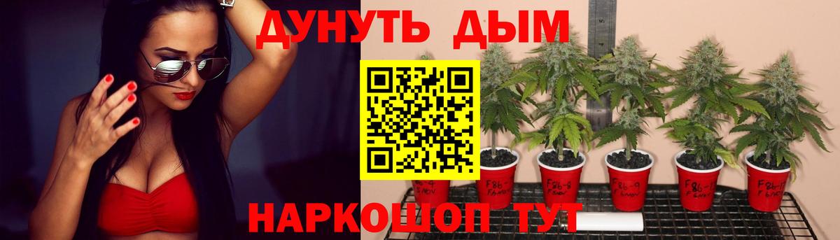 Шишки марихуана THC 21% Аргун